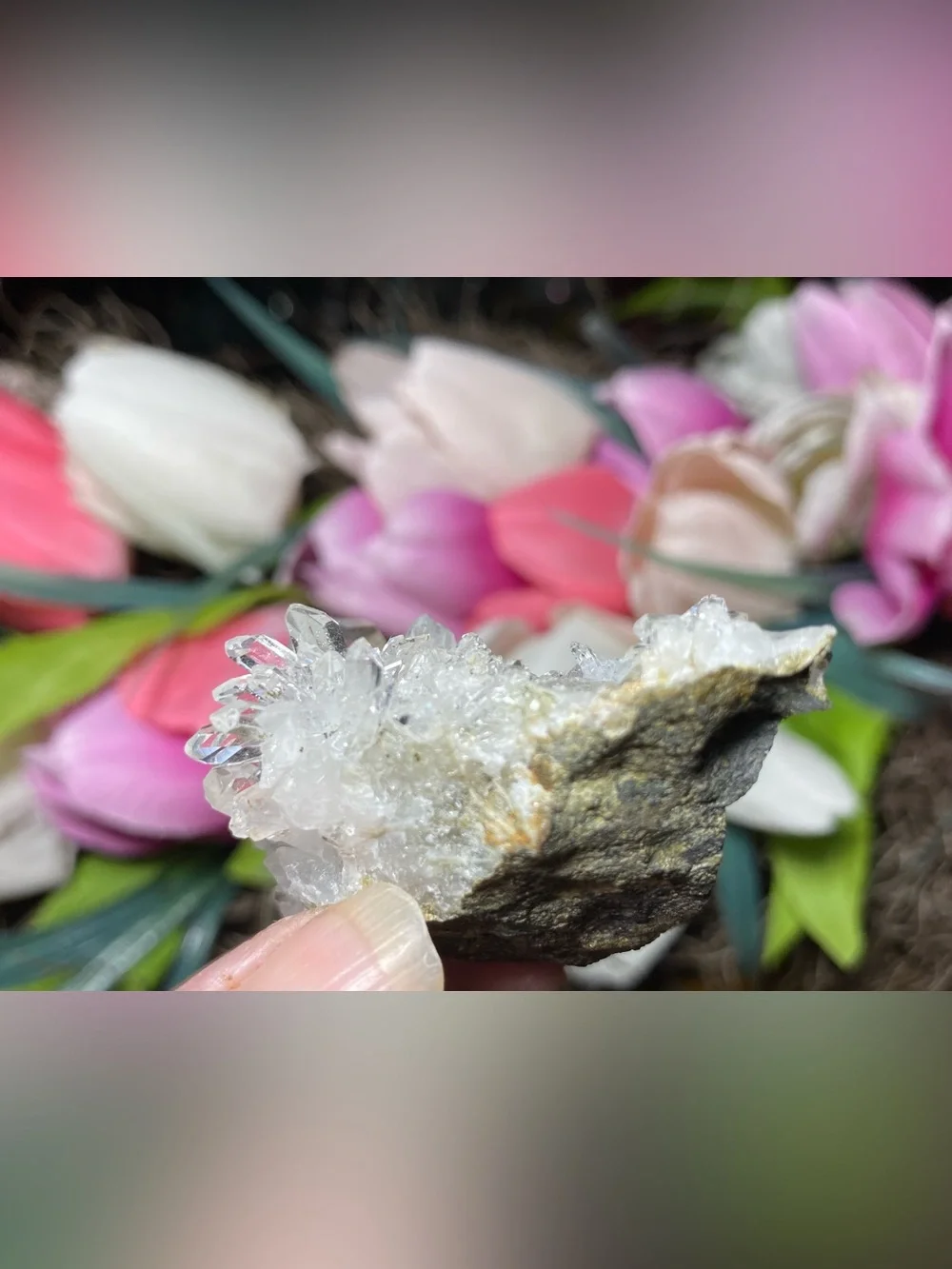 N/A gorgeous lemurian
